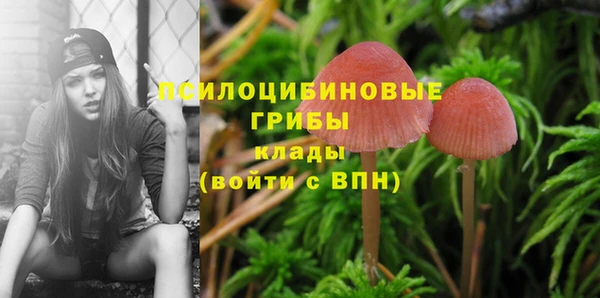 PSILOCYBIN Зеленокумск